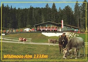 Postkarte Carte Postale 73978330 Wildmoos Seefeld Tirol AT Almwirtschaft Almvieh