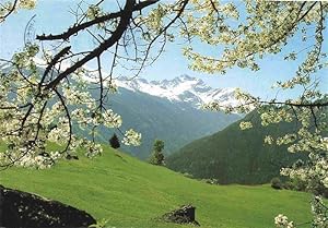 Postkarte Carte Postale 73978863 Pettnau Arlberg The Riffler framed in cherry blossom Sommerpanor...