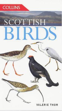 Seller image for Scottish Birds for sale by WeBuyBooks 2