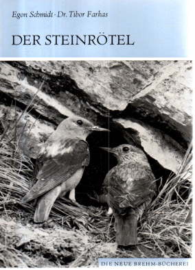 Seller image for Der Steinrtel. Monticola saxatilis. for sale by Leonardu