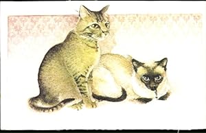 Künstler Ansichtskarte / Postkarte Valenteijn, D., Zwei Katzen