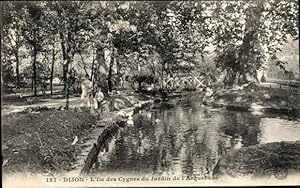 Ansichtskarte / Postkarte Dijon Côte d'Or, L'Ile des Cygnes du Jardin de l'Arquebuse
