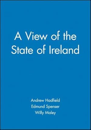 Bild des Verkufers fr View of the State of Ireland: The Production and Experience of Consumption zum Verkauf von WeBuyBooks