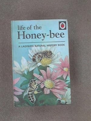 Immagine del venditore per Ladybird. Life of the Honey-Bee. A Ladybird Natural History Book venduto da WeBuyBooks