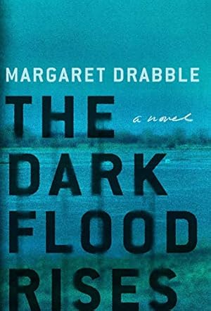 Seller image for The Dark Flood Rises for sale by WeBuyBooks