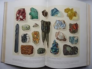 Der Mensch und die Mineralien. 1. bis 50. Tausend