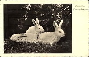 Ansichtskarte / Postkarte Glückwunsch Ostern, Weiße Hasen