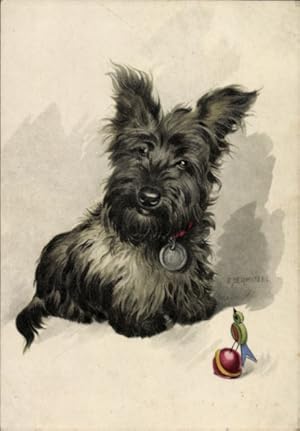 Künstler Ansichtskarte / Postkarte Dermitzel, E., Hundeportrait, Yorkshire Terrier, Spielzeug