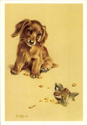 Künstler Ansichtskarte / Postkarte Lang, Hans, Ein frecher Spatz, Hund