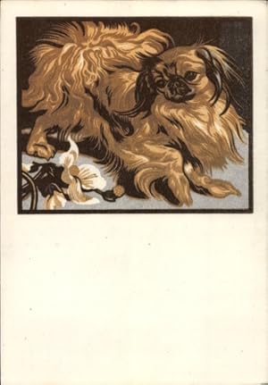Künstler Ansichtskarte / Postkarte Bresslern-Roth, N. v., Pekingese, Hund