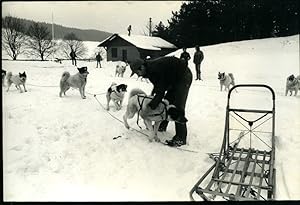 Germany dog team Winter scene Snow old Photo 1985