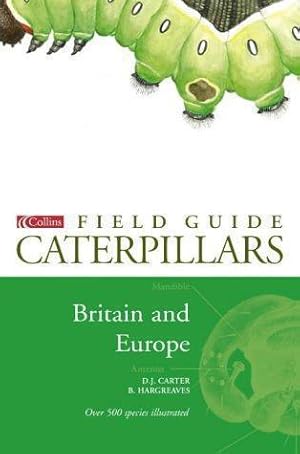 Image du vendeur pour A field guide to caterpillars of butterflies and moths in Britain and Europe mis en vente par WeBuyBooks 2