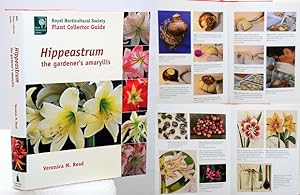 Imagen del vendedor de HIPPEASTRUM. The Gardener's Amaryllis. Foreword by Professor Peter R. Crane. a la venta por Francis Edwards ABA ILAB