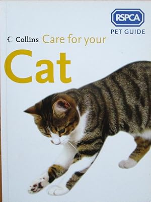 Care for Your Cat