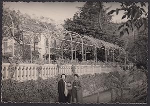 Italy 1960, Near Turin, Plant in the home garden, Vintage photography