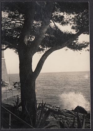 Italy 1939, Genova, Nervi, Esperia promenade, Storm surge, Vintage photography