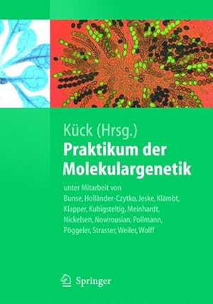 Image du vendeur pour Praktikum Der Molekulargenetik/ Practical Course in Molecular Genetics -Language: german mis en vente par GreatBookPrices