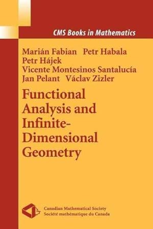 Seller image for Functional Analysis and Infinite-dimensional Geometry for sale by GreatBookPrices