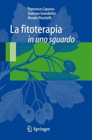 Imagen del vendedor de La Fitoterapia in Uno Sguardo -Language: italian a la venta por GreatBookPrices