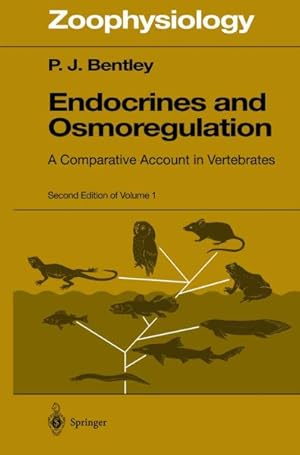 Imagen del vendedor de Endocrines and Osmoregulation : A Comparative Account in Vertebrates a la venta por GreatBookPrices