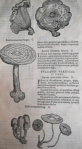 Fungorum in Pannoniis observatorum brevis historia, a Carolo Clusio Atrebate conscripta.