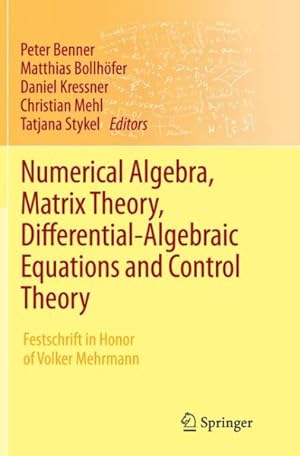 Seller image for Numerical Algebra, Matrix Theory, Differential-algebraic Equations and Control Theory : Festschrift in Honor of Volker Mehrmann for sale by GreatBookPrices