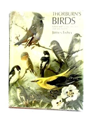 Bild des Verkufers fr Thorburn's Birds zum Verkauf von World of Rare Books