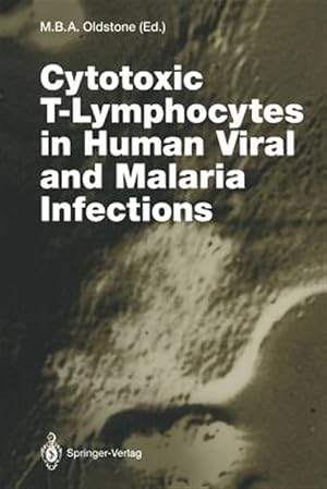 Bild des Verk�ufers f�r Cytotoxic T-Lymphocytes in Human Viral and Malaria Infections zum Verkauf von GreatBookPrices