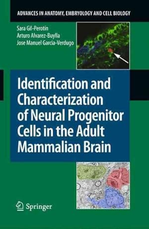 Immagine del venditore per Identification and Characterization of Neural Progenitor Cells in the Adult Mammalian Brain venduto da GreatBookPrices