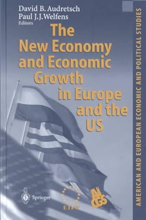Seller image for New Economy and Economic Growth in Europe and the Us for sale by GreatBookPrices