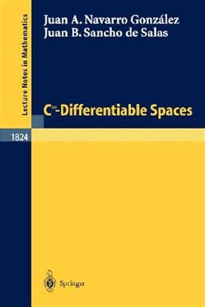 Bild des Verk�ufers f�r C-Differentiable Spaces zum Verkauf von GreatBookPrices