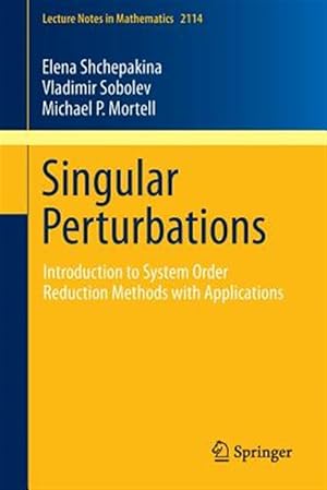 Imagen del vendedor de Singular Perturbations : Introduction to System Order Reduction Methods With Applications a la venta por GreatBookPrices