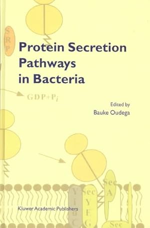 Image du vendeur pour Protein Secretion Pathways in Bacteria mis en vente par GreatBookPrices