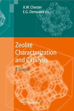 Immagine del venditore per Zeolite Characterization and Catalysis : A Tutorial venduto da GreatBookPrices