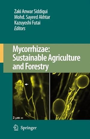 Immagine del venditore per Mycorrhizae : Sustainable Agriculture and Forestry venduto da GreatBookPrices