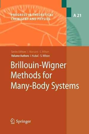 Image du vendeur pour Brillouin-Wigner Methods for Many-Body Systems mis en vente par GreatBookPrices