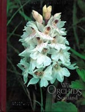 Bild des Verkufers fr Wild Orchids of Scotland zum Verkauf von WeBuyBooks