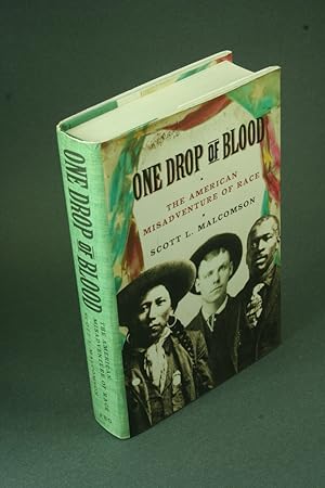 Imagen del vendedor de One drop of blood: the American misadventure of race. a la venta por Steven Wolfe Books