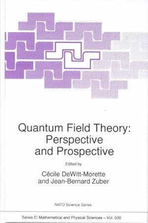 Seller image for Quantum Field Theory : Perspective and Prospective for sale by GreatBookPrices