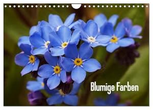 Imagen del vendedor de Blumige Farben (Wandkalender 2025 DIN A4 quer), CALVENDO Monatskalender : Blumendetails a la venta por AHA-BUCH GmbH