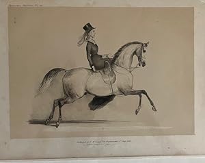 Equestrian Sketches: Plate 20 [Mrs. Maberley]