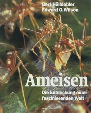 Immagine del venditore per Ameisen : Die Entdeckung Einer Faszinierenden Welt -Language: german venduto da GreatBookPrices