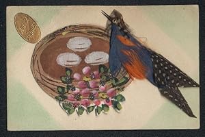 Echtfeder-Ansichtskarte Ein Vogel an seinem Nest, mit echten Federn