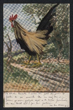 Echtfeder-Ansichtskarte Ein Hahn aus echten Federn auf einem Feldweg