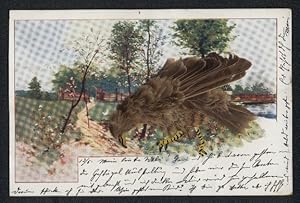 Echtfeder-Ansichtskarte Ein Vogel aus echten Federn pickt auf einem Feldweg