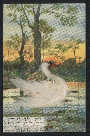 Echtfeder-Ansichtskarte Ein Schwan aus echten Federn auf einem Teich