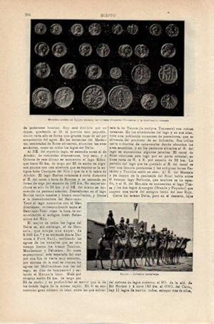 LAMINA V42003: Monedas usadas en Egipto durante dinastias Ptolomeos y dominacion romana