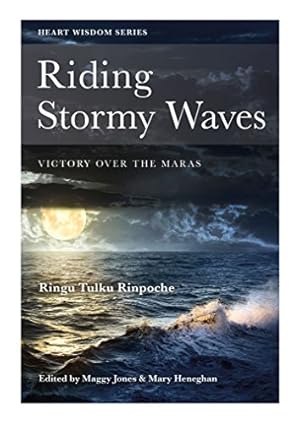 Seller image for Riding Stormy Waves: Victory over the Maras: No. 7 (Heart Wisdom) for sale by WeBuyBooks