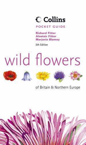 Bild des Verkufers fr Wild Flowers of Britain and Northern Europe (Collins Pocket Guide) zum Verkauf von WeBuyBooks 2