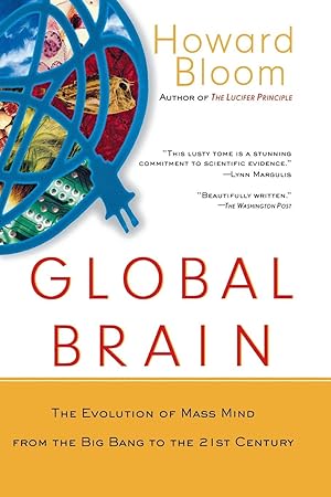 Global Brain: The Evolution of Mass Mind from the Big Bang to the 21st Century: The Evolution of ...